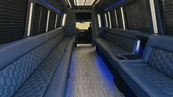 Interior of Brandon Party Bus Company's 20 Passenger Party Bus in Brandon