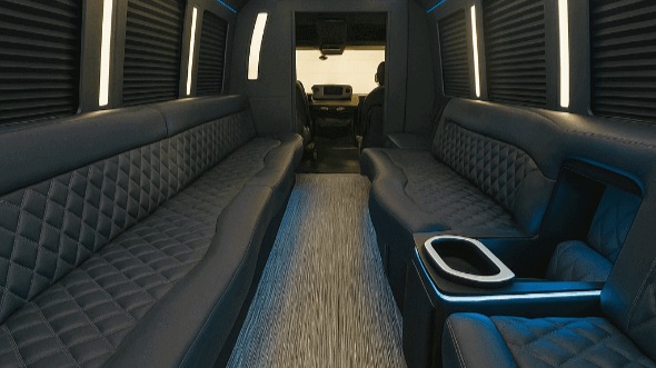 Interior of Greenville Party Bus Company's 25 Passenger Party Bus in Greenville