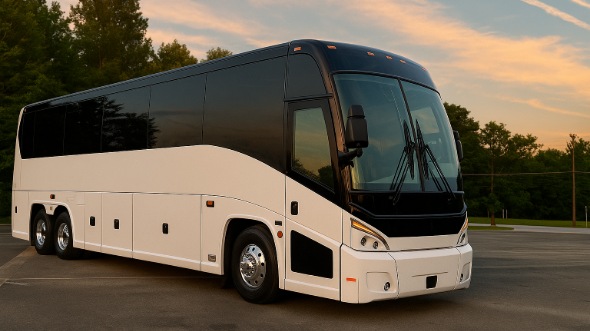 olive branch bachelor and bachelorette party bus rentals